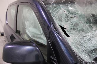 Toyota Landcruiser Land Cruiser picture 13