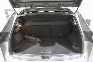 Renault Austral  picture 18