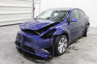 damaged passenger cars Tesla Model Y  2022/12