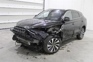Unfallwagen BYD Seal U  2025/9