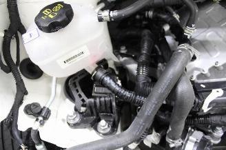 Fiat 500  picture 19