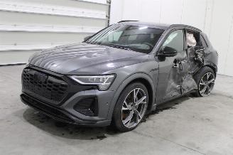 Unfallwagen Audi Q8 e-tron 2024/1