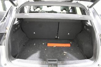 Renault Austral  picture 18