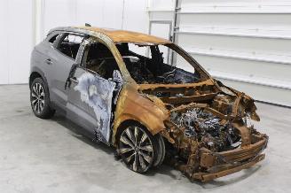 Renault Austral  picture 2