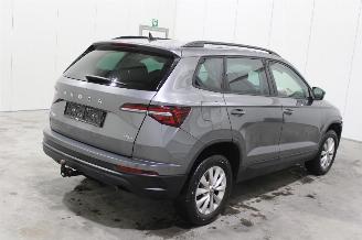 Skoda Karoq  picture 3