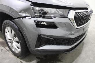 Skoda Karoq  picture 5