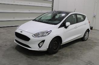 škoda osobní automobily Ford Fiesta  2019/2