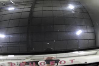Peugeot 308  picture 6