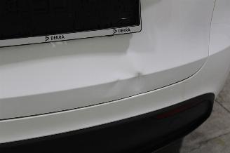 Tesla Model Y  picture 9
