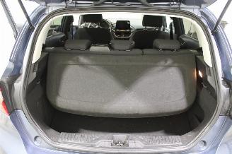Ford Fiesta  picture 19