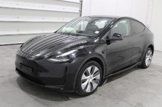 damaged passenger cars Tesla Model Y  2024/5