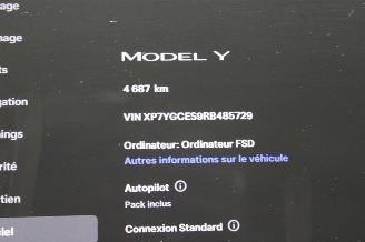 Tesla Model Y  picture 12
