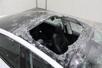 Tesla Model 3  picture 6