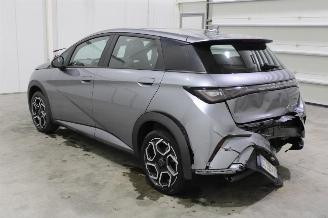 BYD Dolphin  picture 4