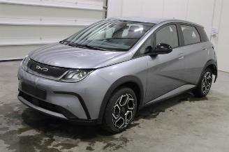 damaged passenger cars BYD Dolphin  2024/9