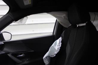 Peugeot 2008  picture 21