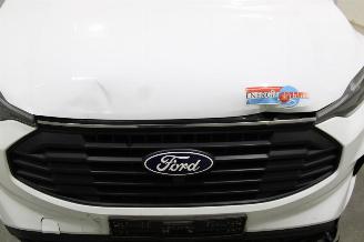 Ford Transit  picture 6
