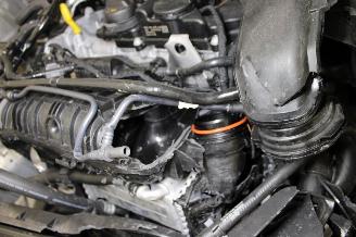 Ford Tourneo Connect  picture 16