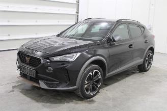 skadebil motor Cupra Formentor  2024/2