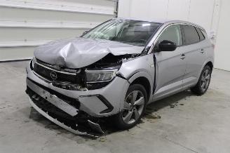 Coche accidentado Opel Grandland X 2024/4