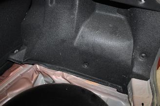 Dacia Duster  picture 24