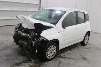 Schadeauto Fiat Panda  2019/9