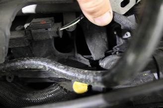 Renault Clio  picture 18