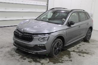 Auto incidentate Skoda Kamiq  2025/5