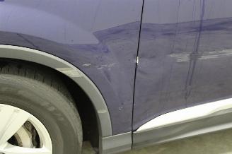 Audi Q7  picture 6