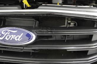 Ford Transit  picture 17