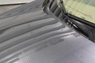 Ford EcoSport  picture 19