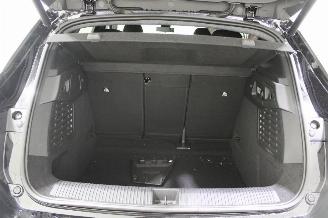 Renault Scenic  picture 19