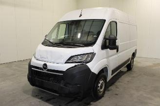 škoda osobní automobily Opel Movano  2025/10