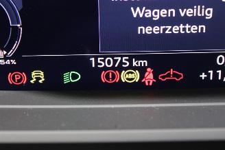 Audi Q4 e-tron picture 13
