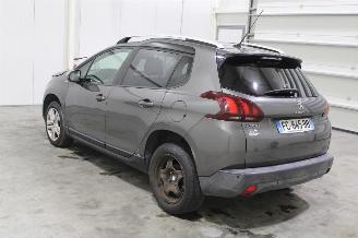 Peugeot 2008  picture 4