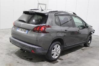 Peugeot 2008  picture 3