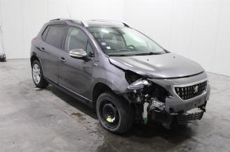 Peugeot 2008  picture 2