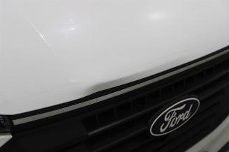 Ford Transit  picture 5