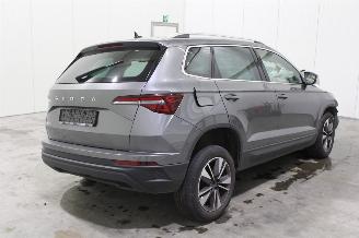 Skoda Karoq  picture 4