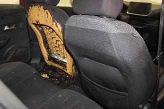 Peugeot 2008  picture 20