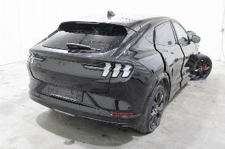 Ford Mustang Mach-e  picture 3