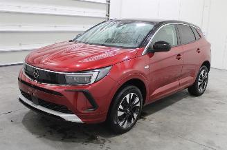 Unfallwagen Opel Grandland X 2023/9