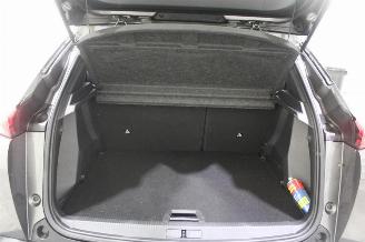 Peugeot 2008  picture 17
