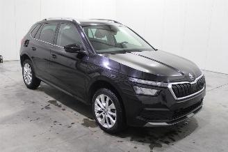 Skoda Kamiq  picture 2