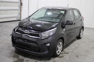  Kia Picanto  2024/4