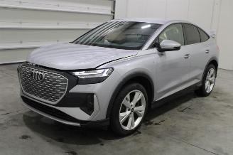 Damaged car Audi Q4 e-tron 2024/6