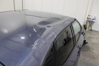 Cupra Tavascan  picture 7