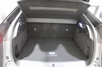 Peugeot 3008  picture 19