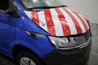 Volkswagen Transporter  picture 20