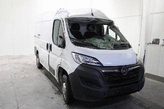 Opel Movano  picture 2